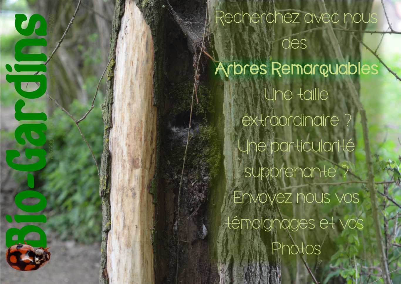 les arbres remarquables